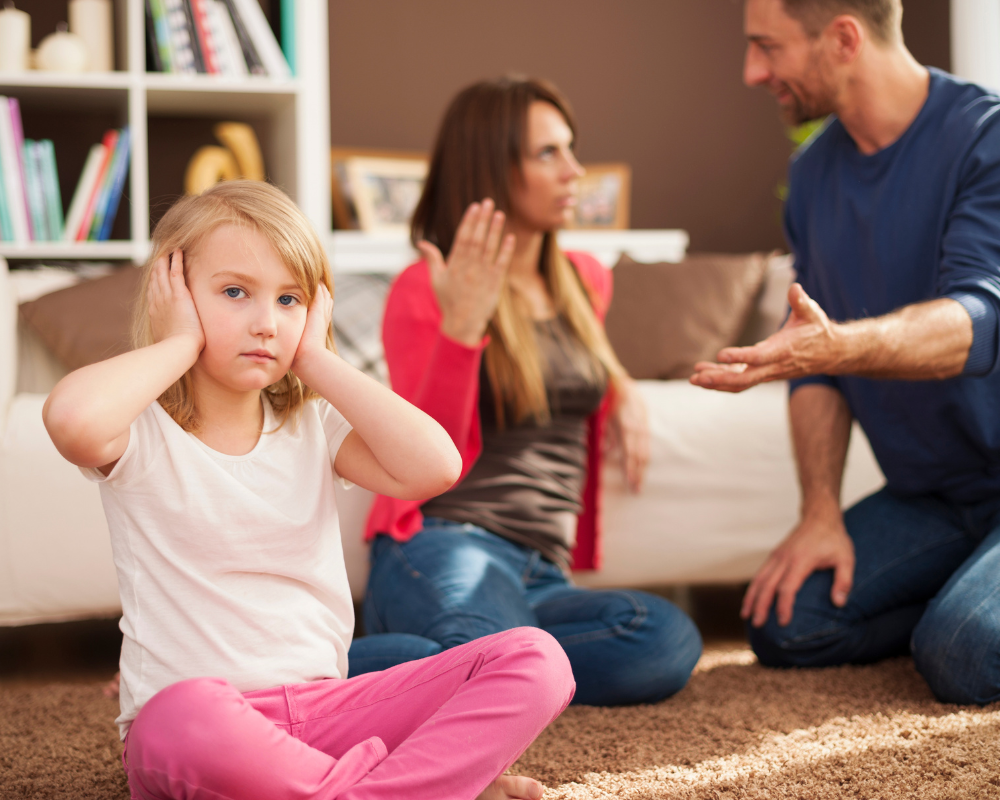 Conflitos Familiares e a Intermediação Eficaz do Psicólogo Familiar